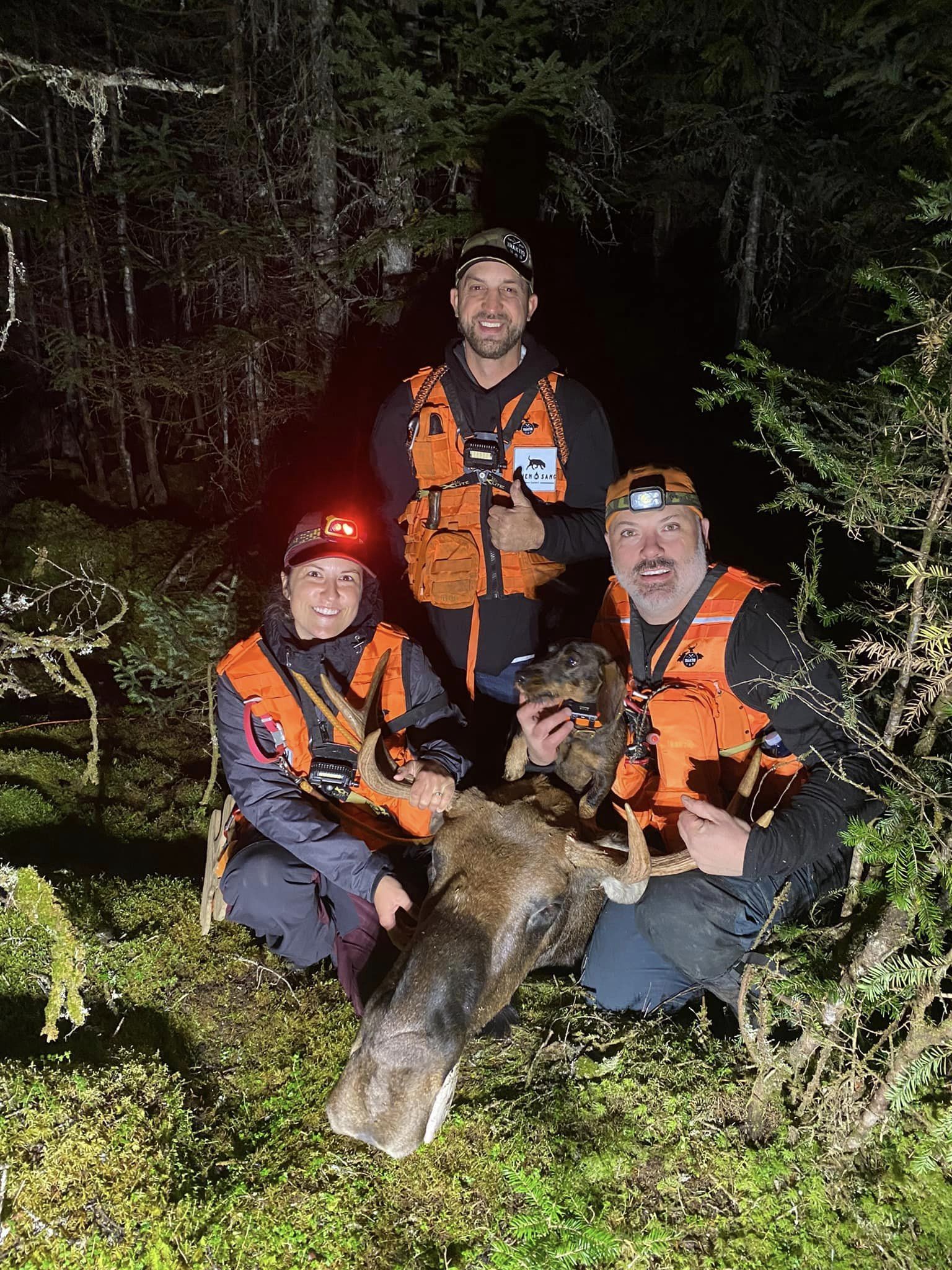 the best small breed for versatile hunting